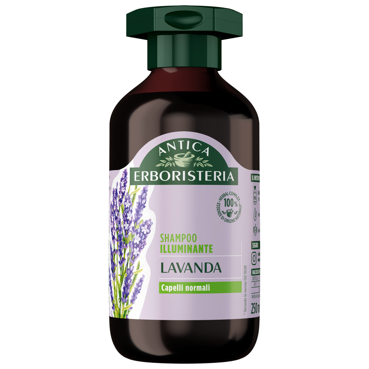 Lavanda