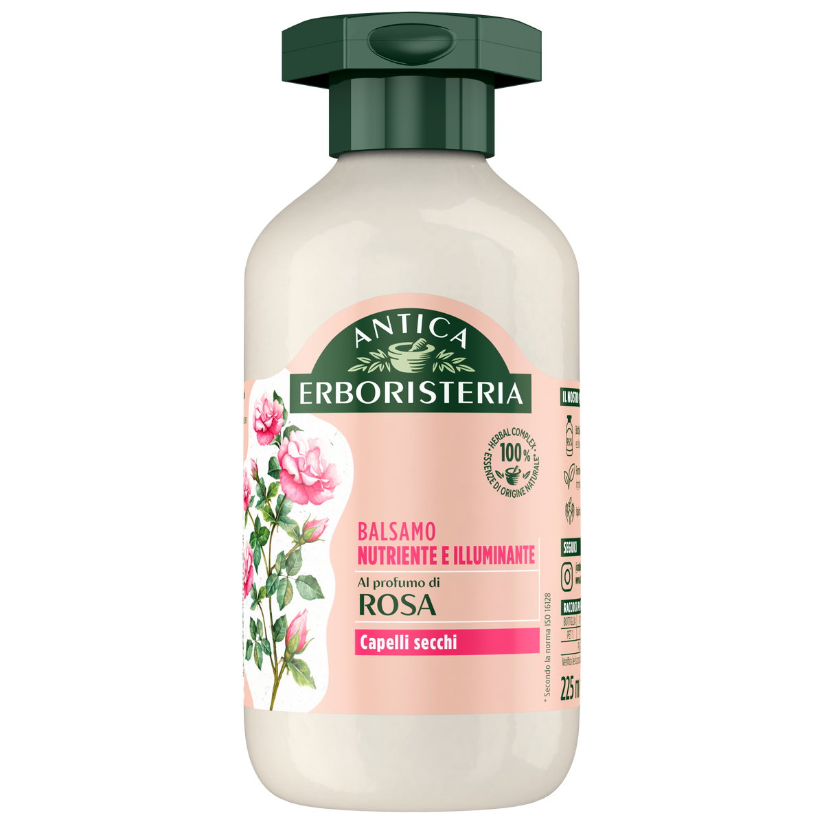 Rosa