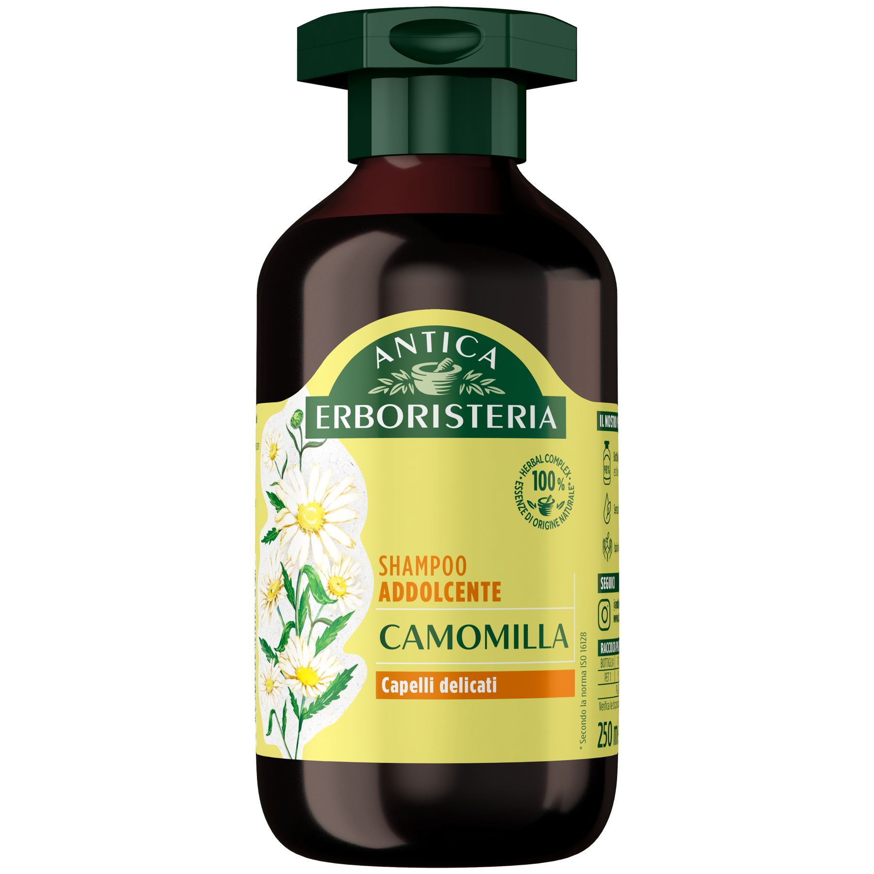 Camomilla