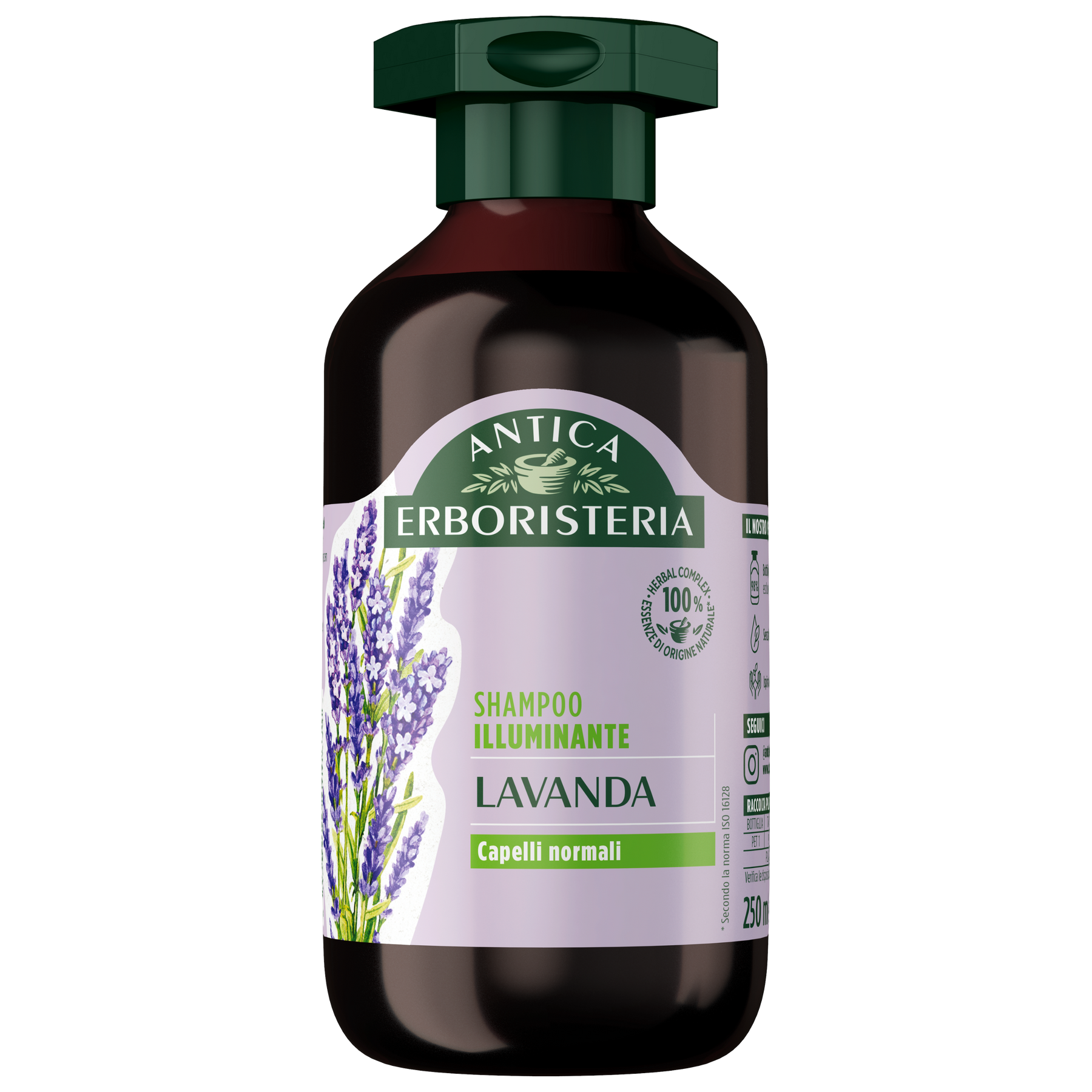 Lavanda