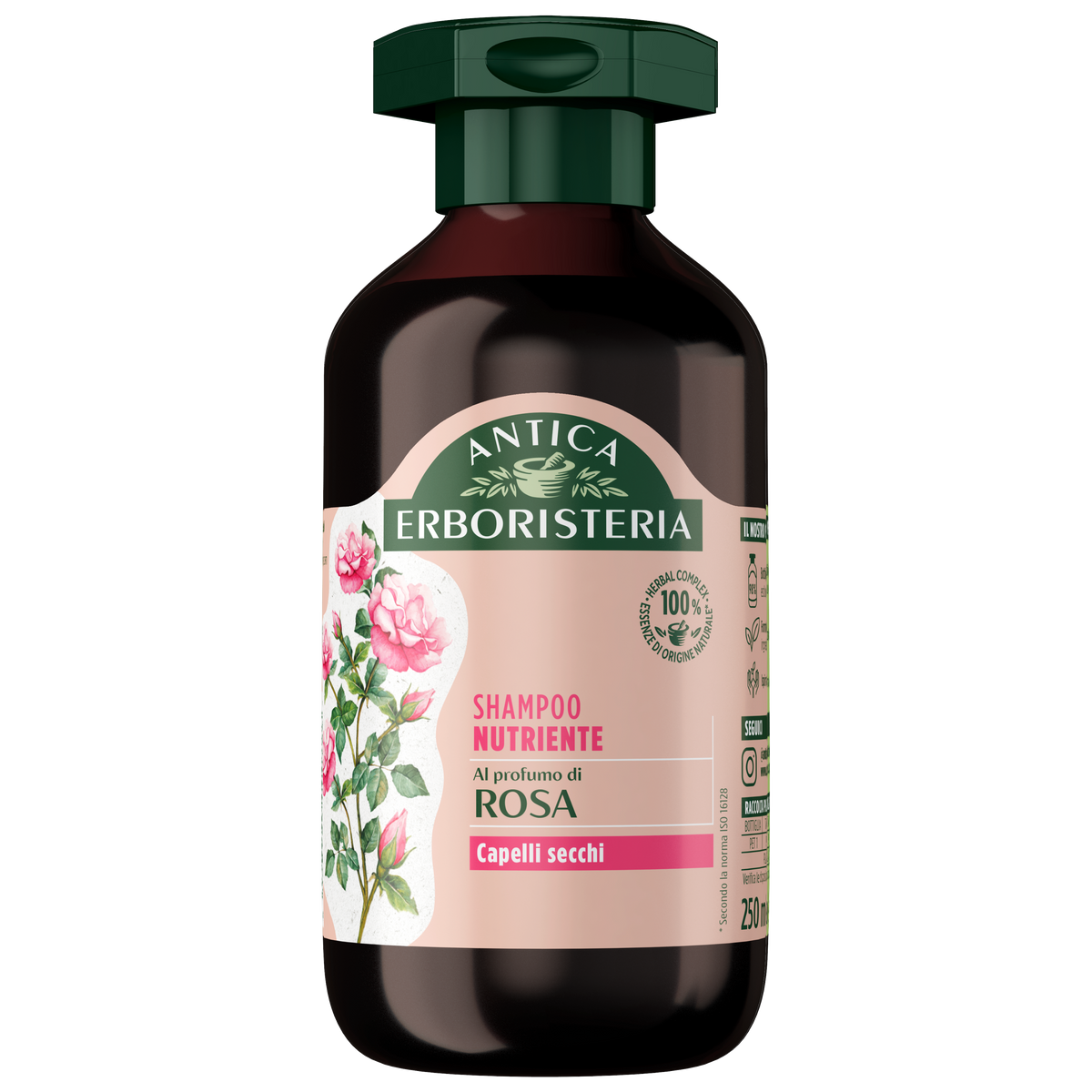 Rosa