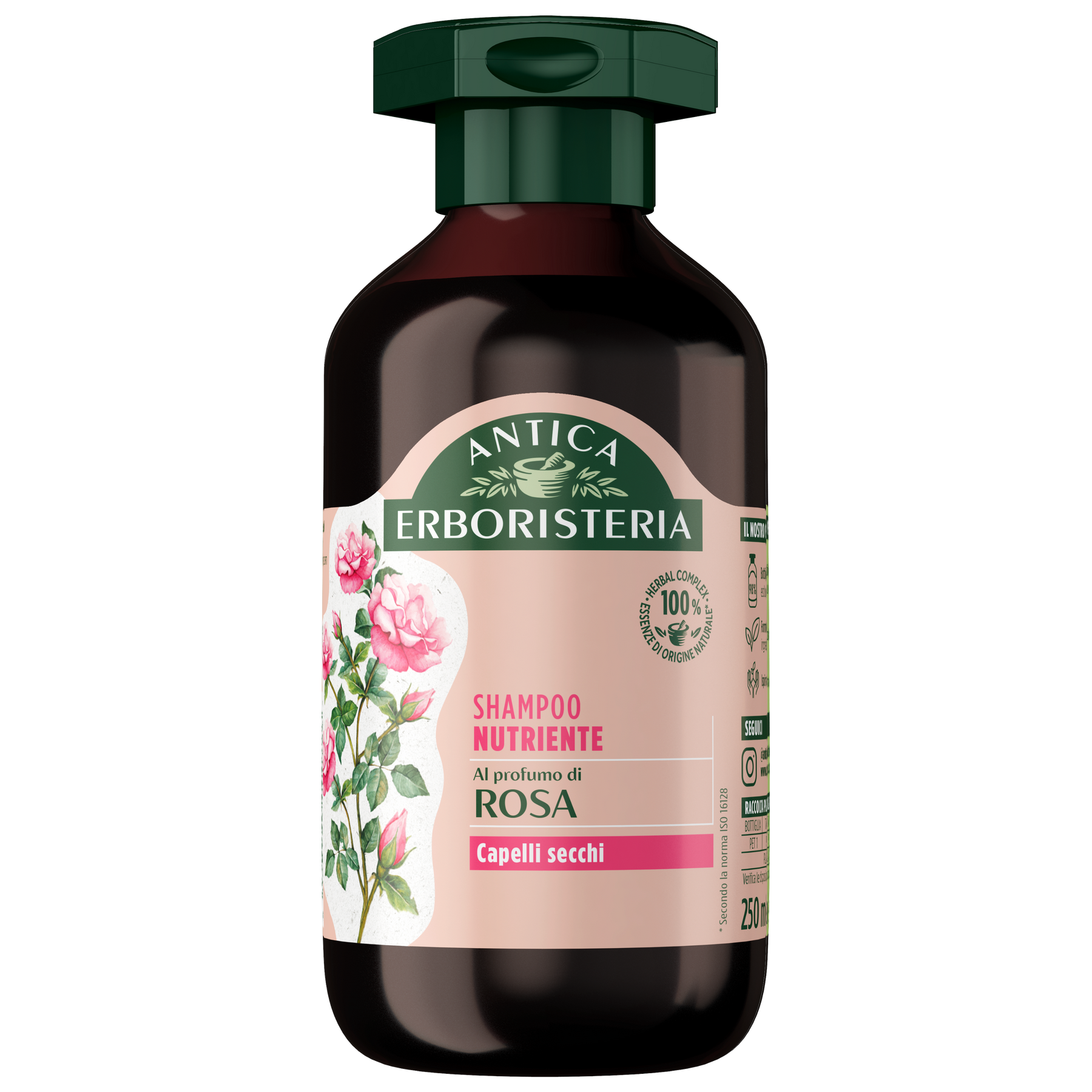 Rosa