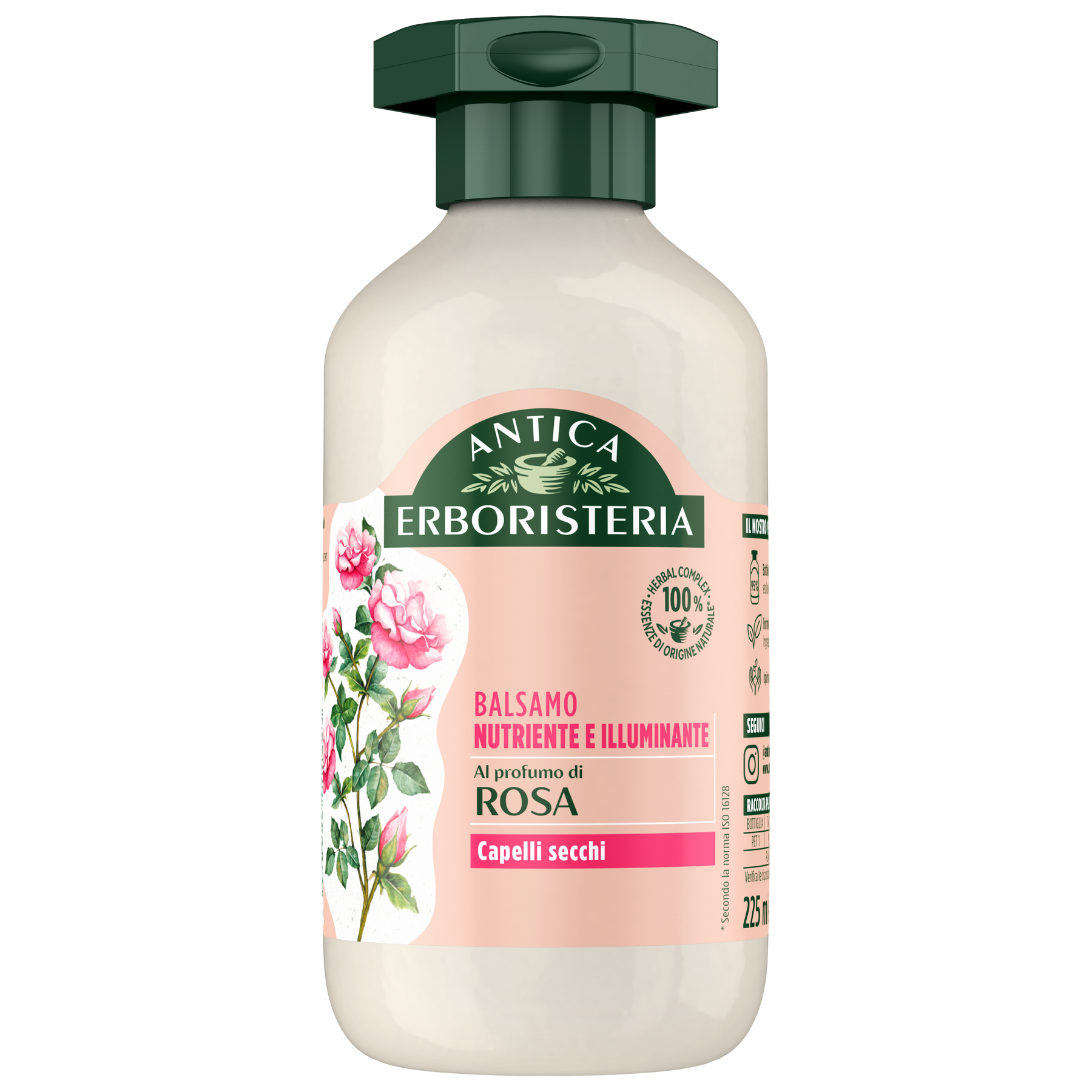 Rosa