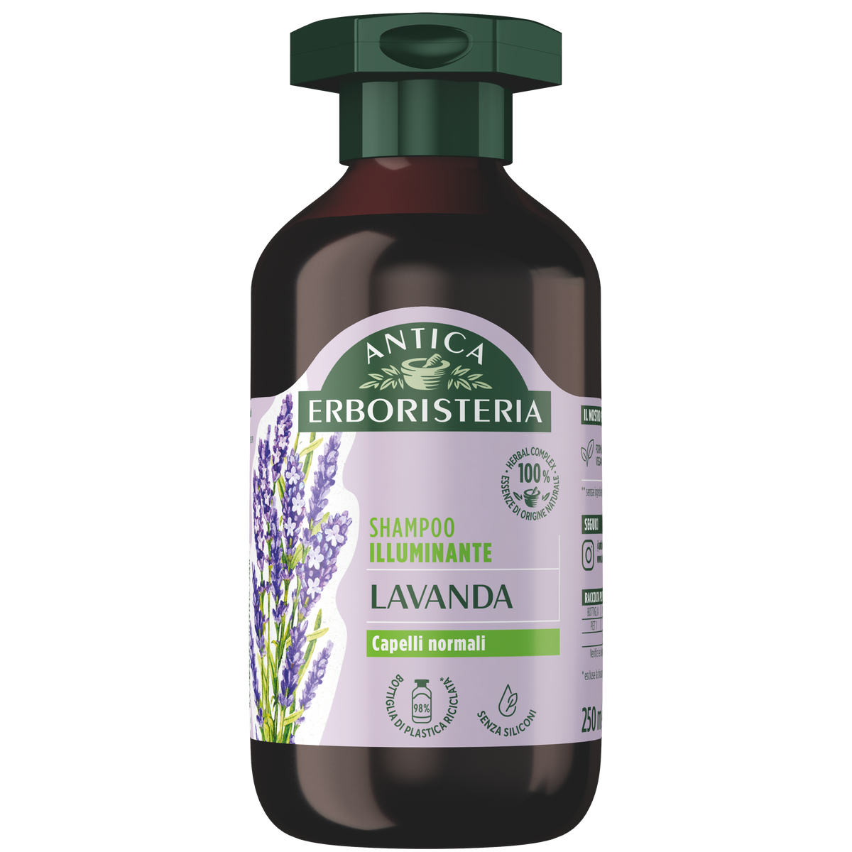 Lavanda