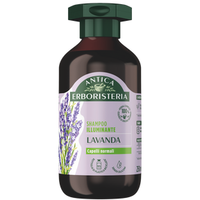 Lavanda