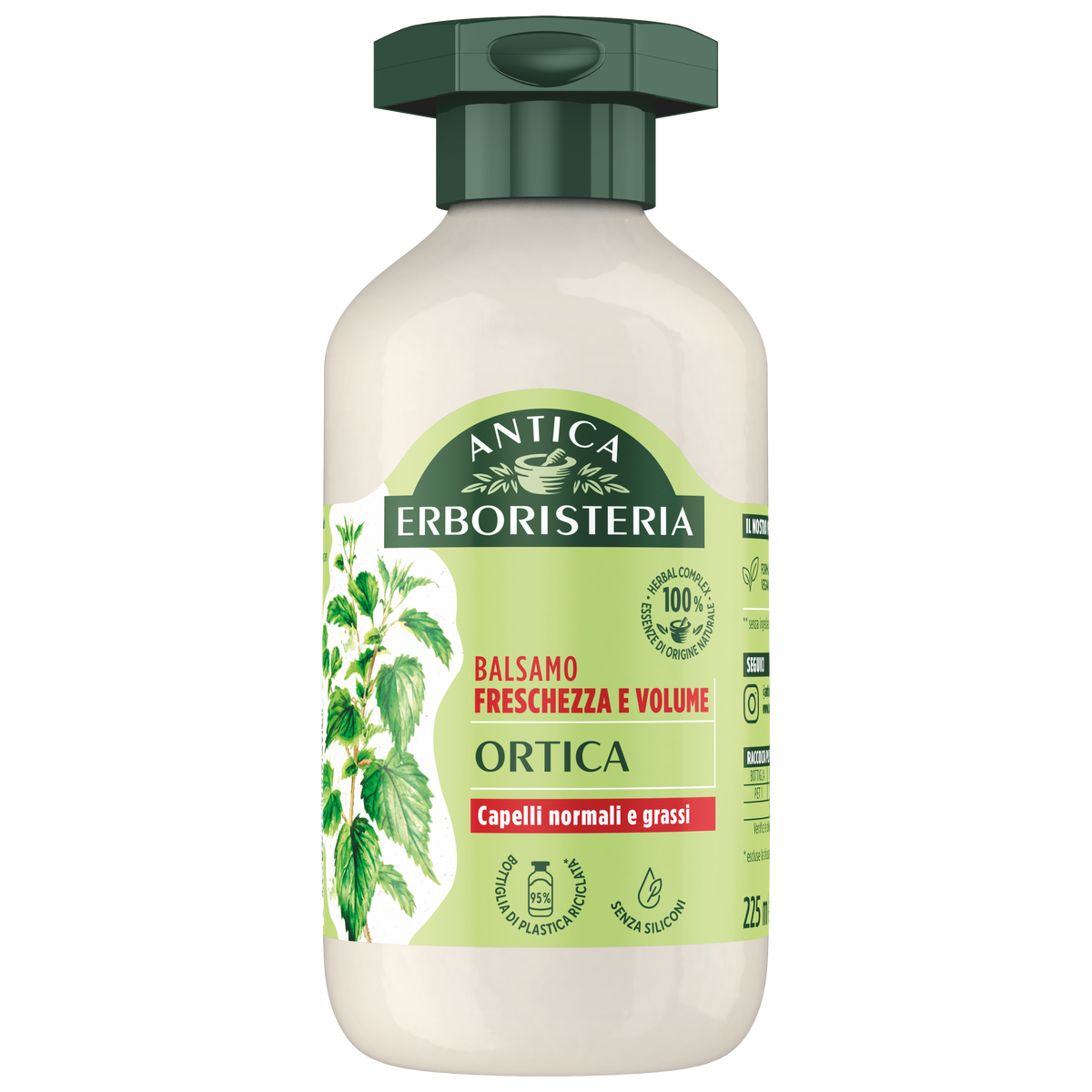 Ortica