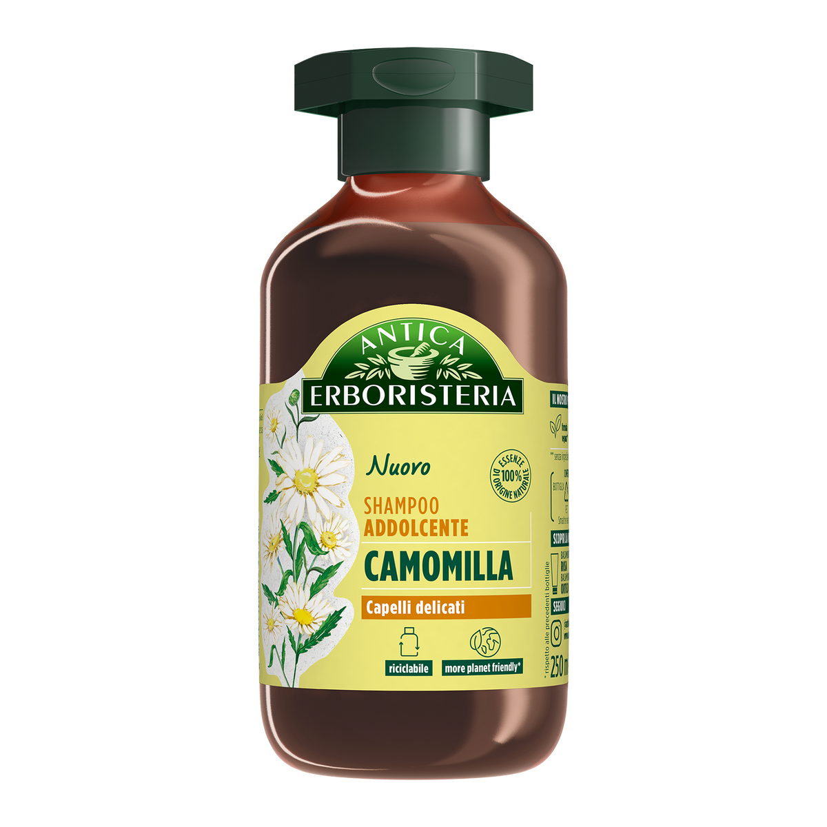 Camomilla