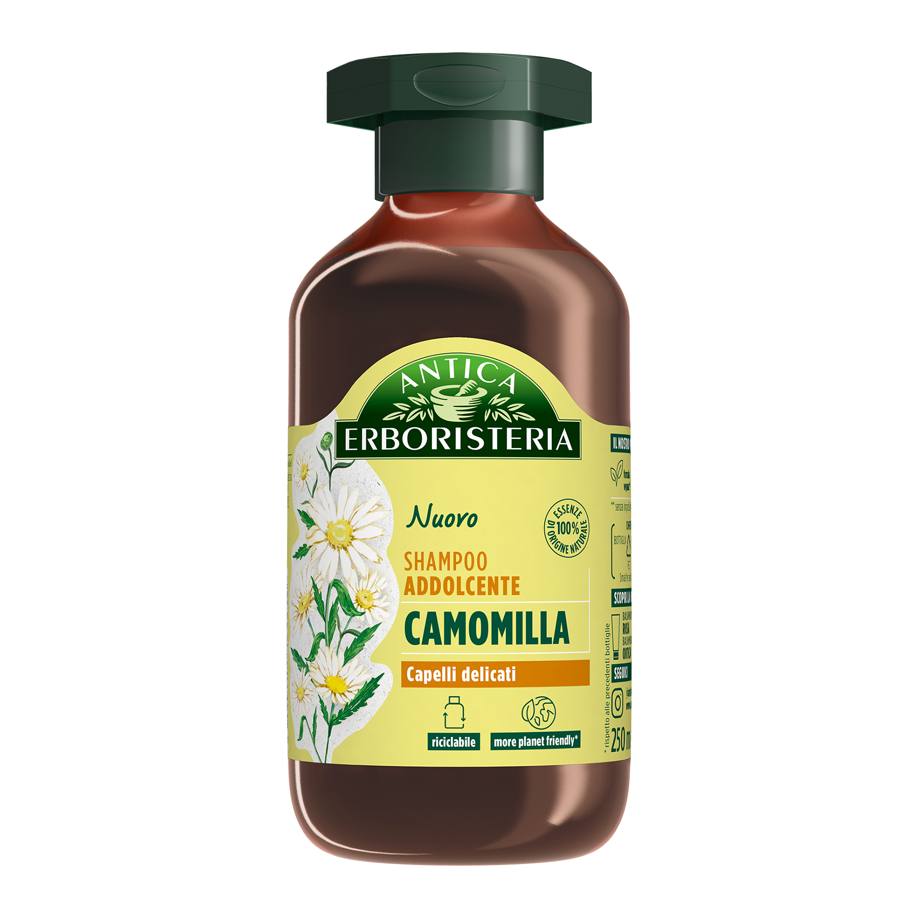 Camomilla