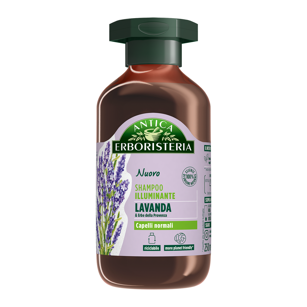 Lavanda