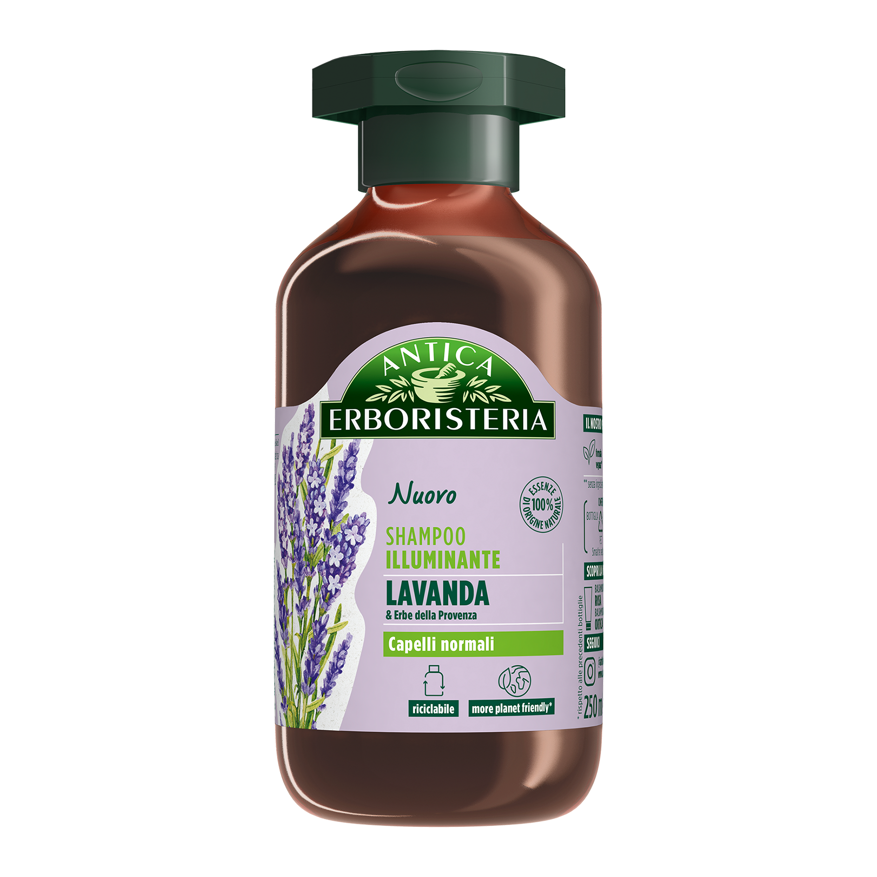 Lavanda